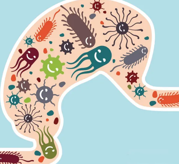 未标题-4 拷贝.png